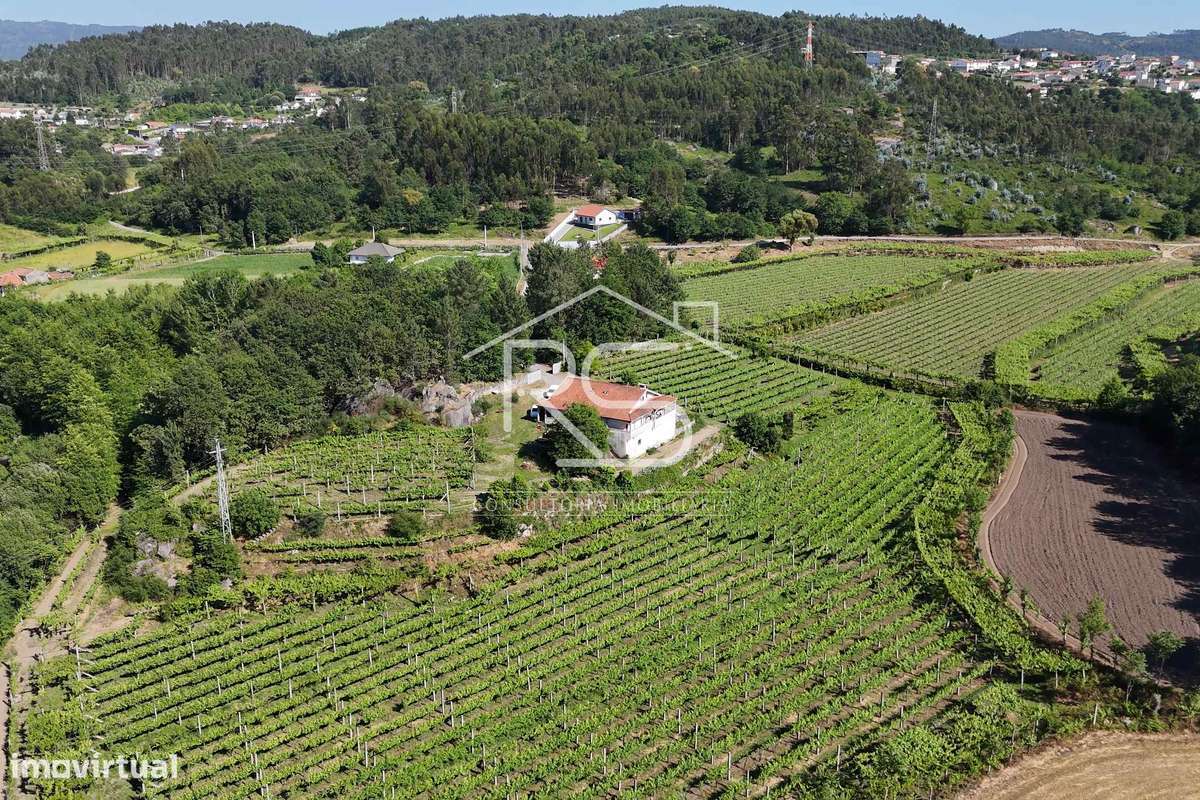 Quinta T6 | Selho São Jorge, Guimarães-8
