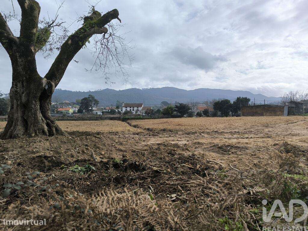 Terreno para construção em Seara - Grande imagem: 3/7