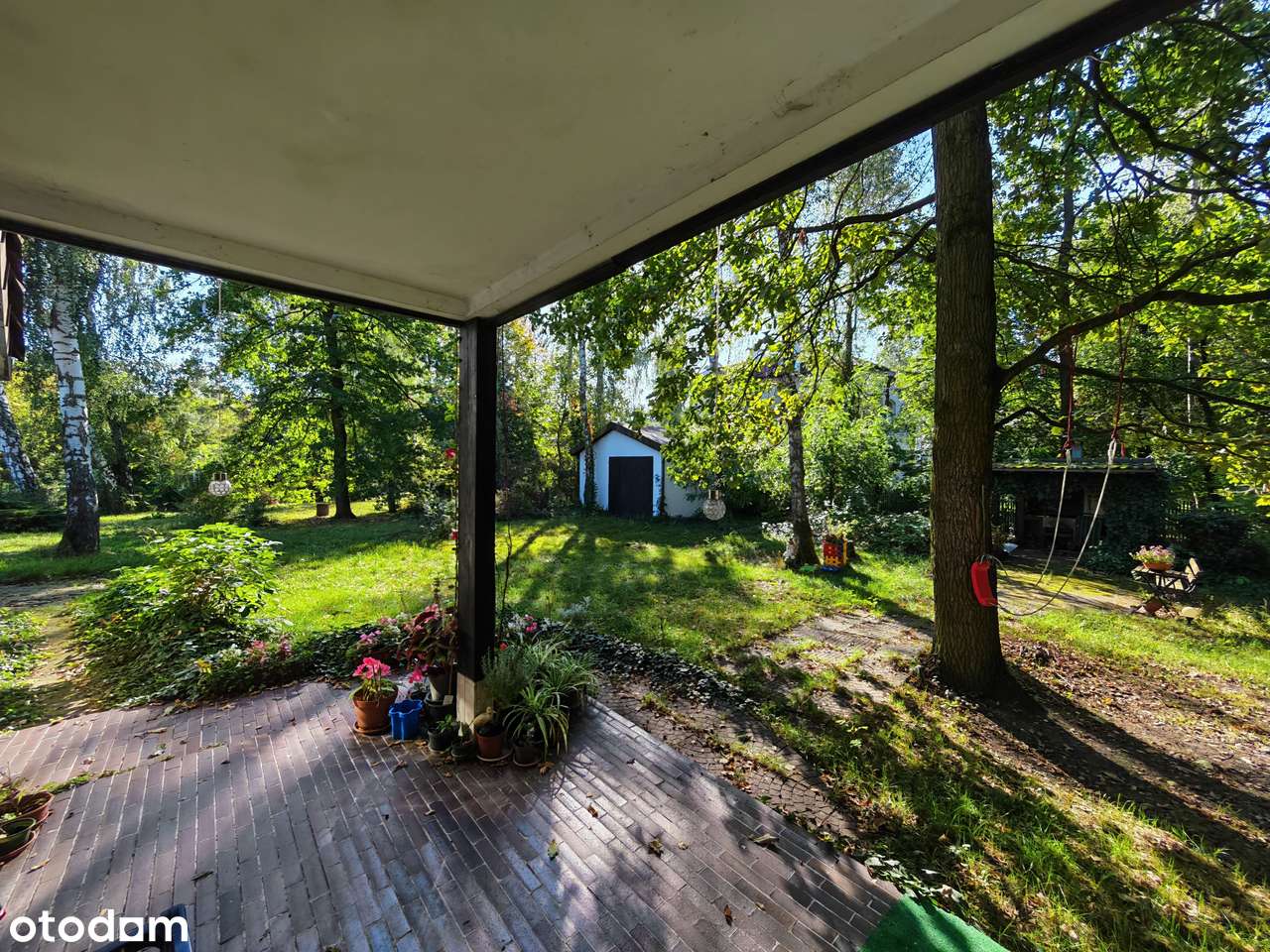 Duża zadrzewiona działka, salon wysoki na 6 metrów!-1