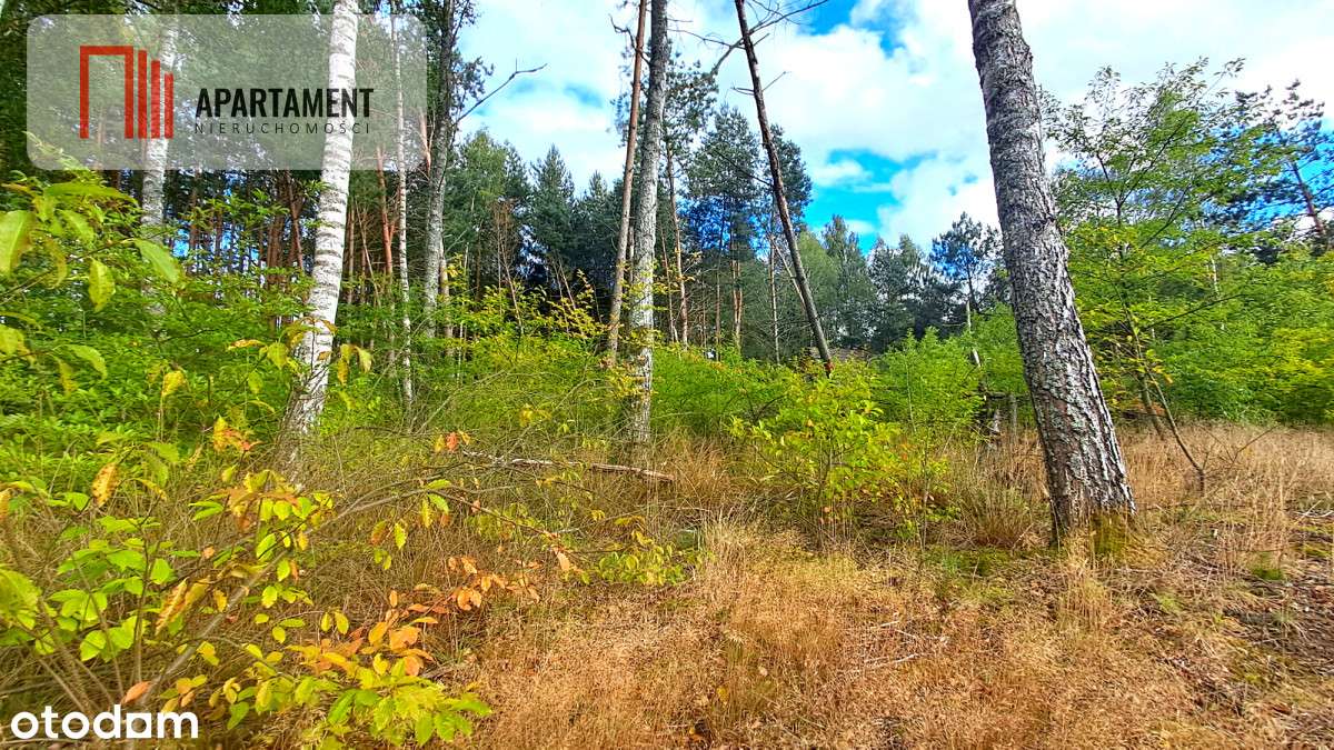 Duża działka rekreacyjna blisko jeziora!!! - Pełny obrazek: 5/8