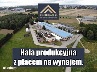 Hala z suwnicą na wynajem przy S11