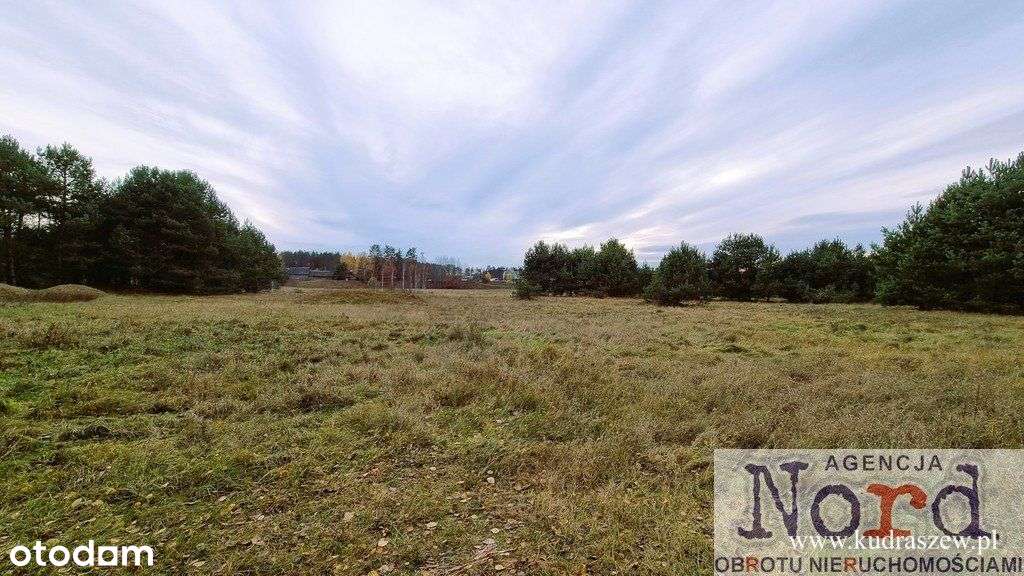 Gorczyca, Gmina Płaska, Piękna Działka - Pełny obrazek: 5/13