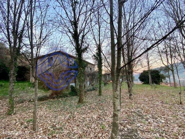 Quinta com Palheiro todo em pedra para restauro - Grande imagem: 4/5