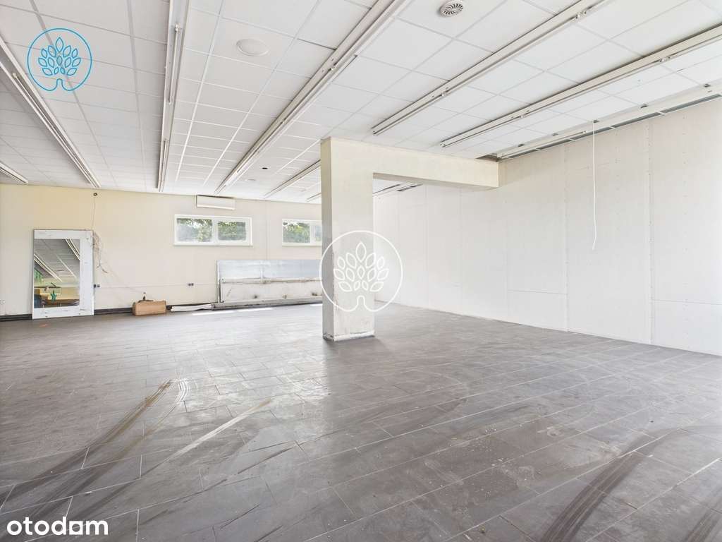 Lokal 300m2 - Pełny obrazek: 5/5