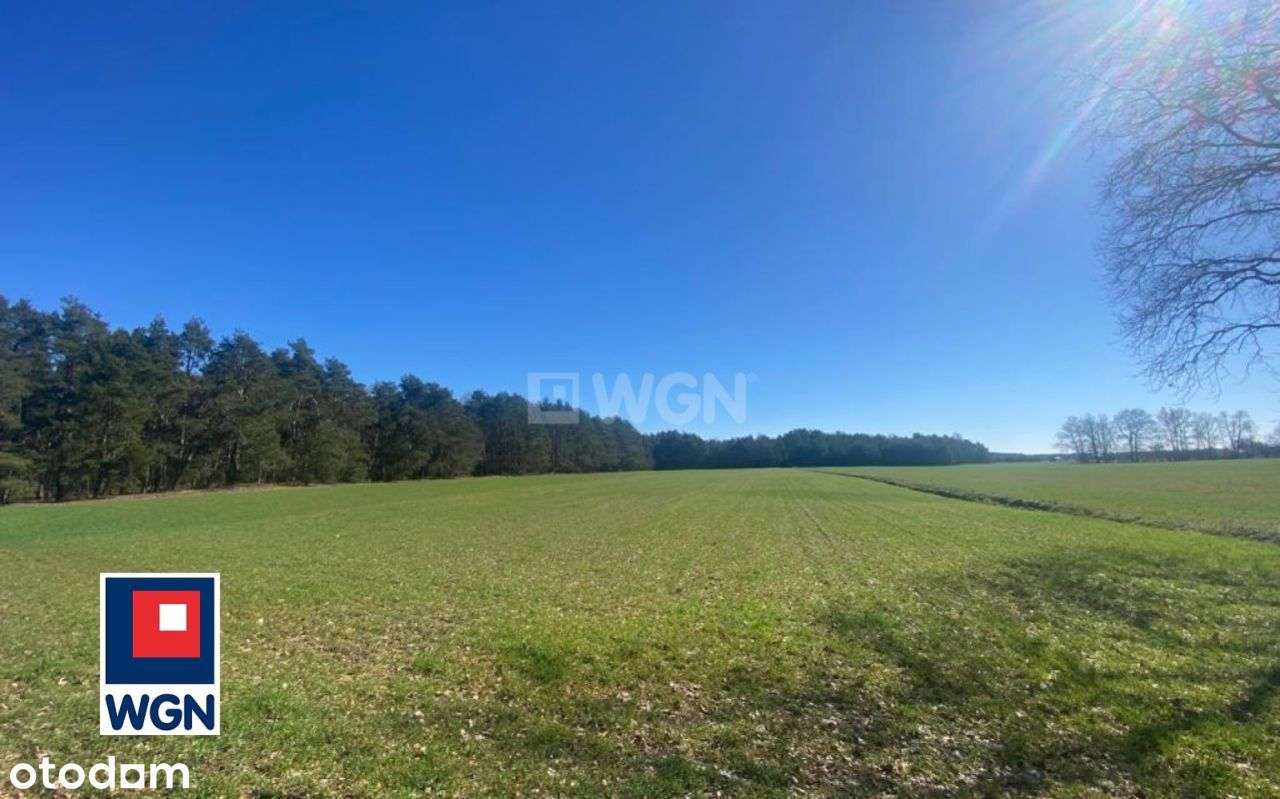 Działka, 3 000 m², Czystebłota - Pełny obrazek: 5/14