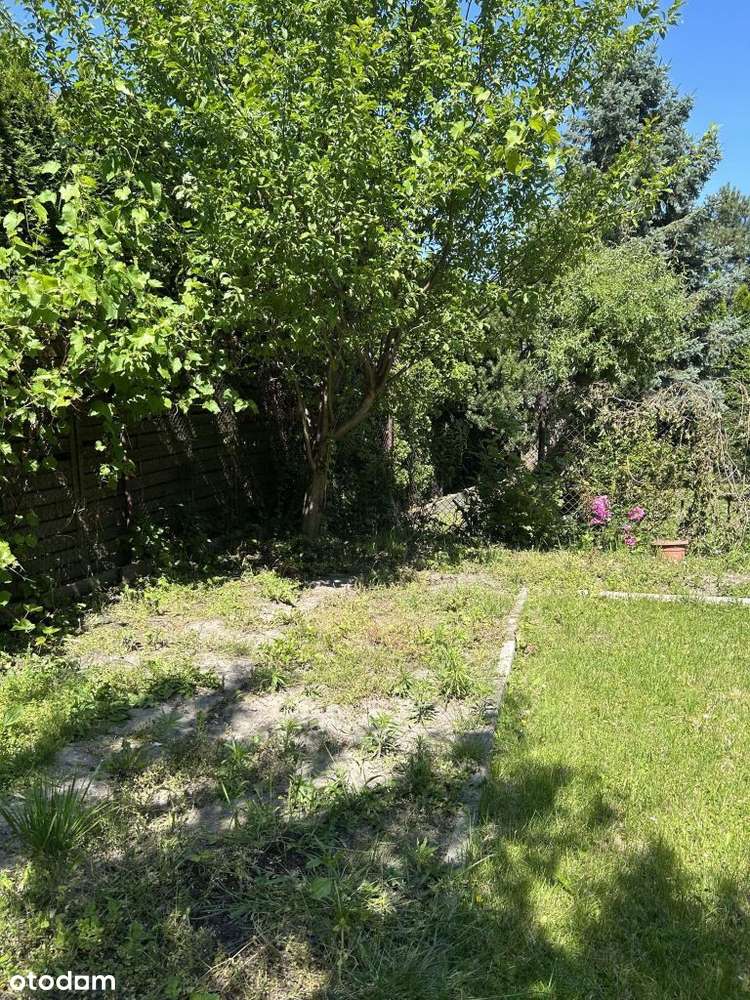 Nowa Nizsza Cena !!!!!!!!Super Oferta Na Rodzinny-10