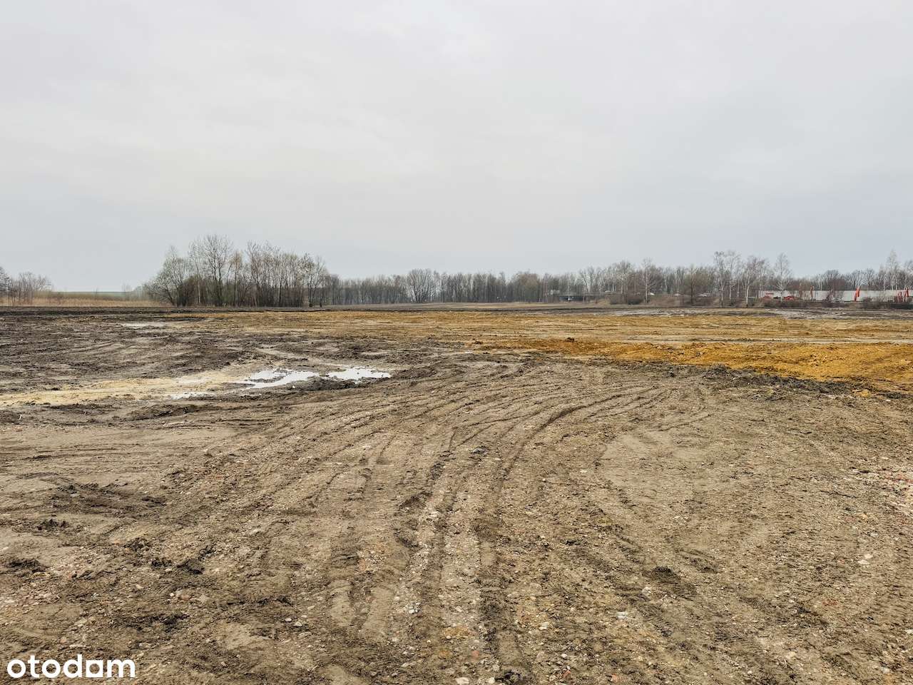 Działka pod halę/skład/bazę transportową 6km do A1 - Pełny obrazek: 5/5