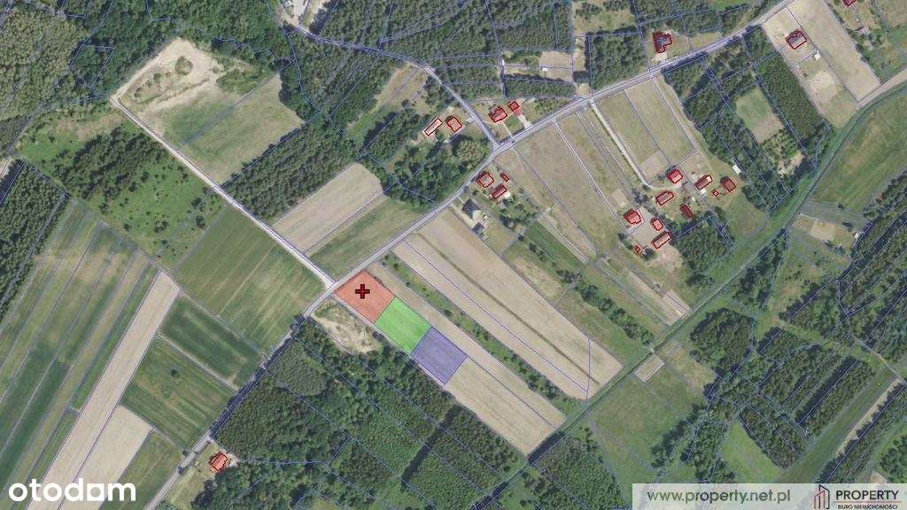 Działka 20 ar, Nagoszyn, gm. Żyraków - Pełny obrazek: 5/5