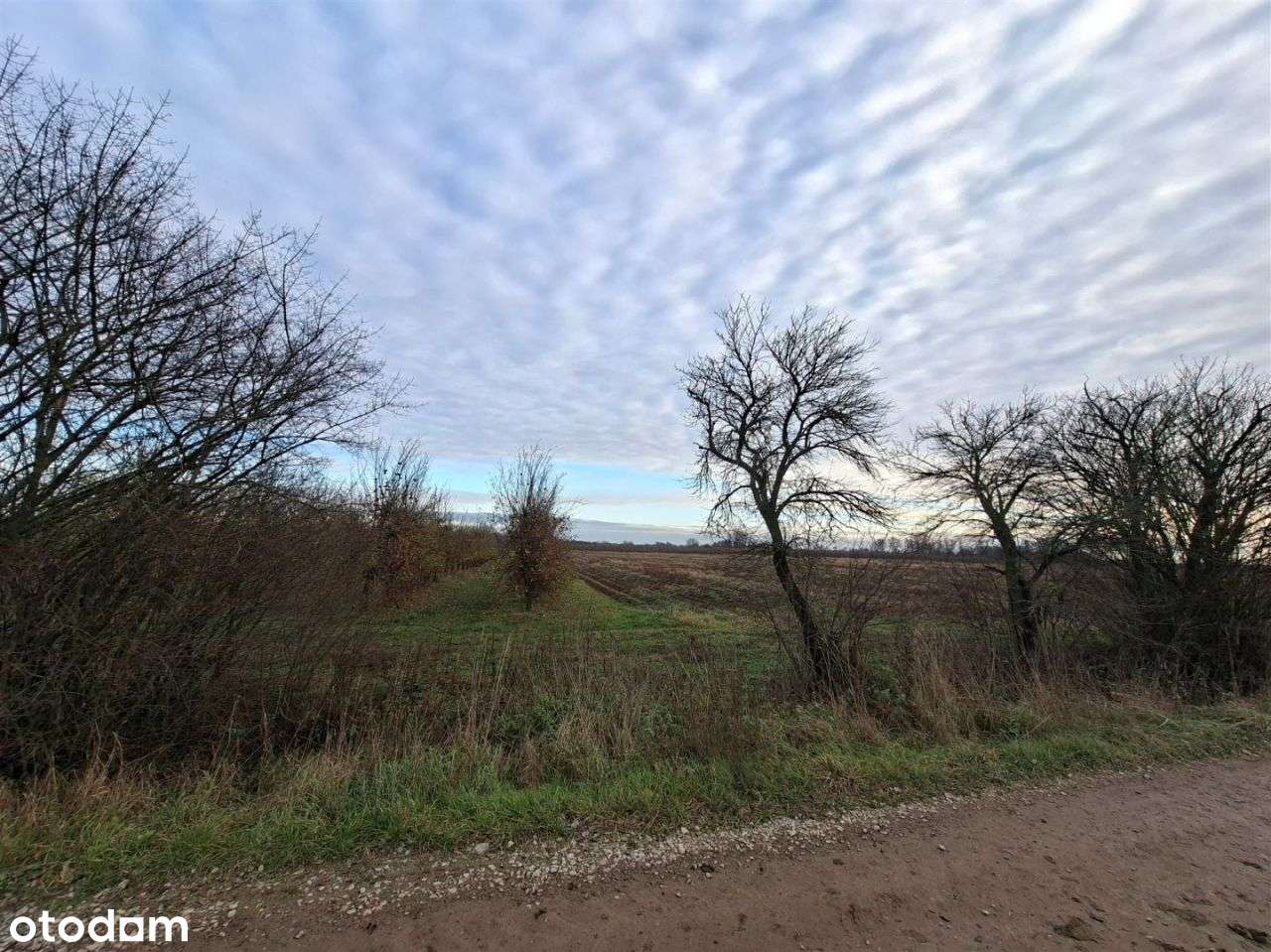 Działka rolna 1,7 ha, Czersk, gm. Góra Kalwaria-6