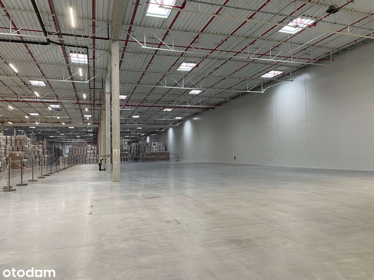 Magazyn 2400 m2 - Pełny obrazek: 2/2