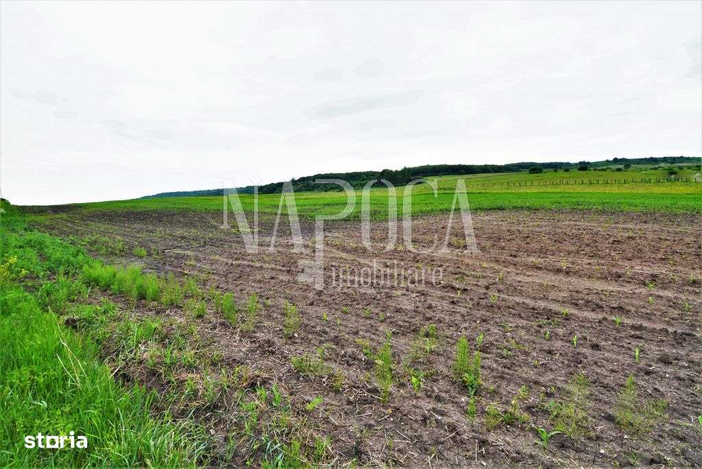 Teren extravilan pentru constructii de vanzare in Popesti - Imagine principală: 5/5