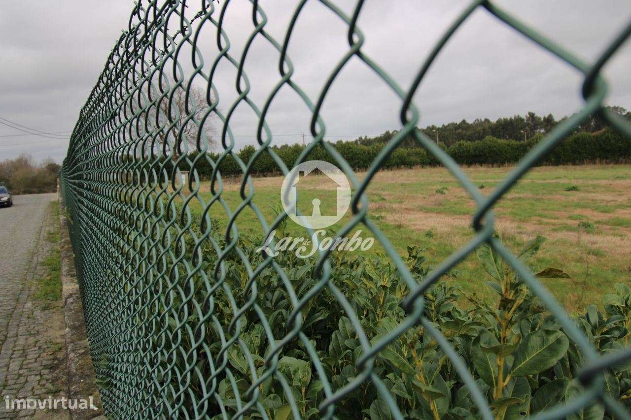 Terreno c/ área total de 8.500 m2 em Lama, Sequeiró Stº Tirso - Grande imagem: 4/4