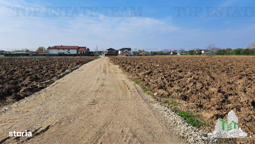 Teren 1171mp la intrare in Palanca langa Raul Sabar - Imagine principală: 3/8