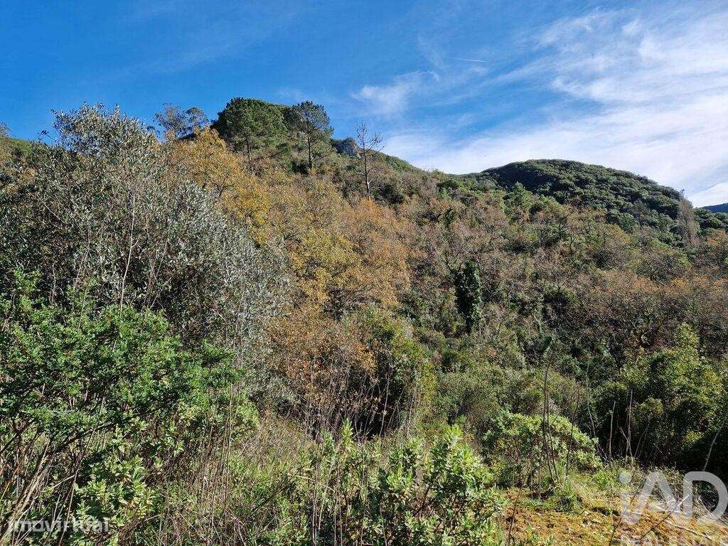 Comércio diverso em Porto de Mós - São João Baptista e São Pedro de 10 - Grande imagem: 3/26