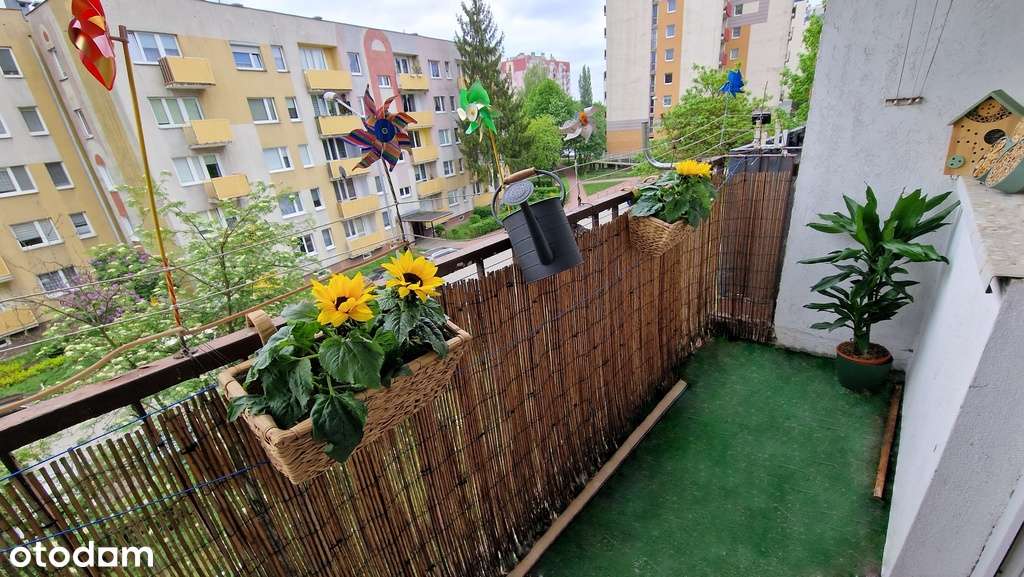 Dwustronne M3 44,7m², Tysiąclecie Częstochowa-14
