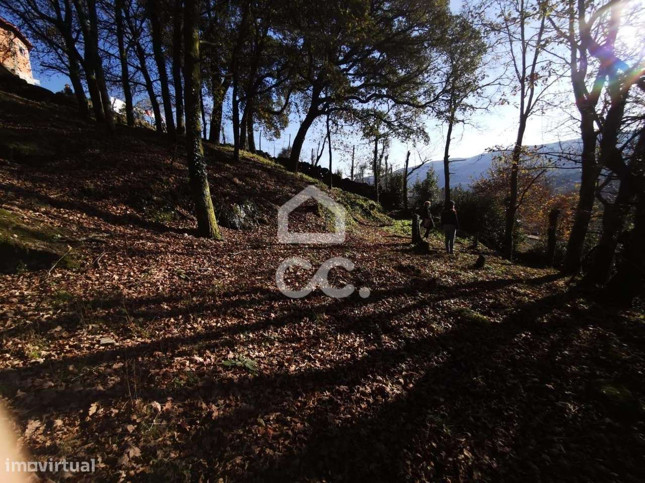 Quinta à venda em Rossas, Vieira do Minho-42