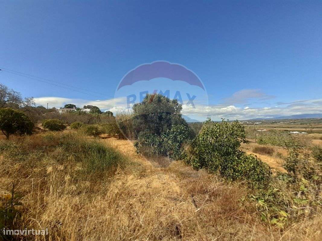 Moradia T6 para venda - Grande imagem: 3/33