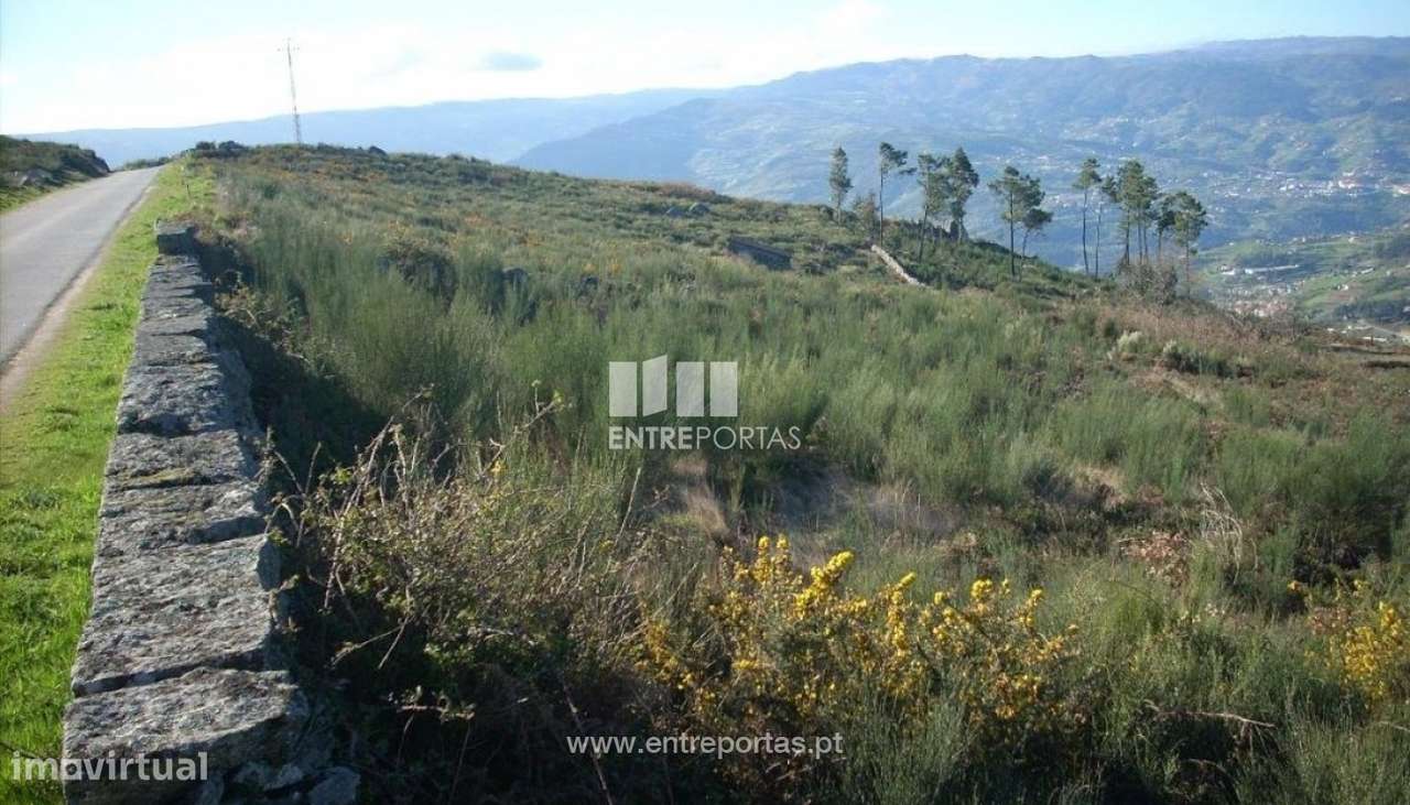 Venda Terreno, Gestaçô, Baião - Grande imagem: 5/10
