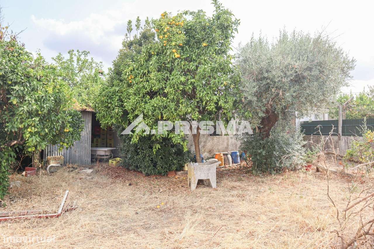 Terreno Urbano para venda em Castelo Branco - Grande imagem: 4/12