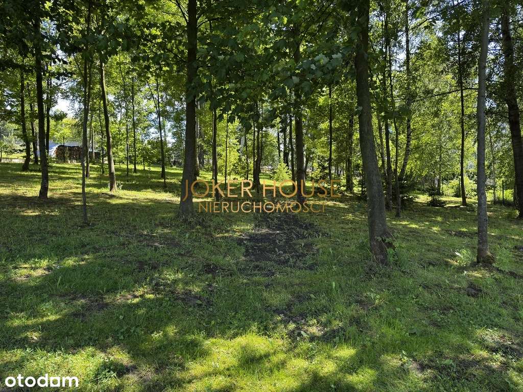 Zamieszkaj wśród zieleni! Odnowiony dom!-5