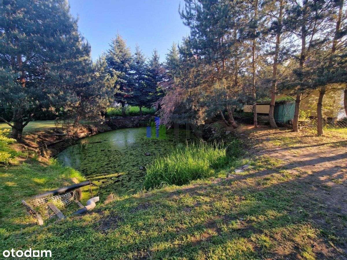 Gotowy Do Zamieszkania - Pełny obrazek: 5/20