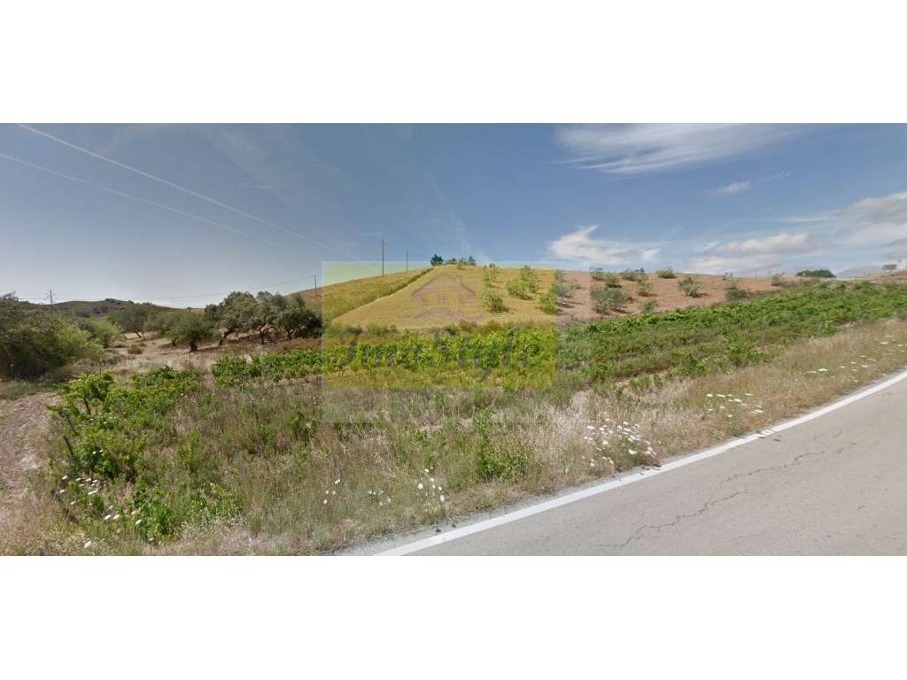 Terreno agricola em Castro Marim - Grande imagem: 5/6