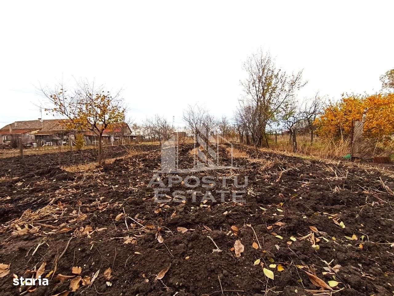 Teren 1000mp Cu Utilitati Dudesti Noi - Imagine principală: 2/13