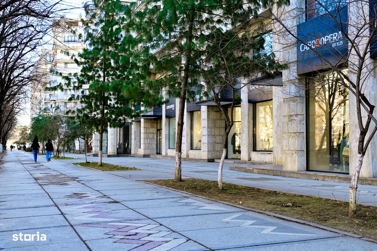 VANZARE Duplex 4 camere Bd. Unirii nr. 12 - Palatul Parlamentului-10