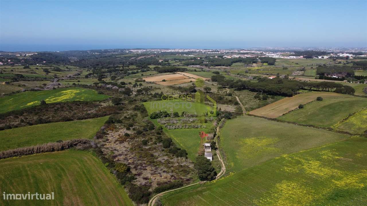 Terreno Rústico com Vista Mar e Serra – Sintra - Grande imagem: 4/14