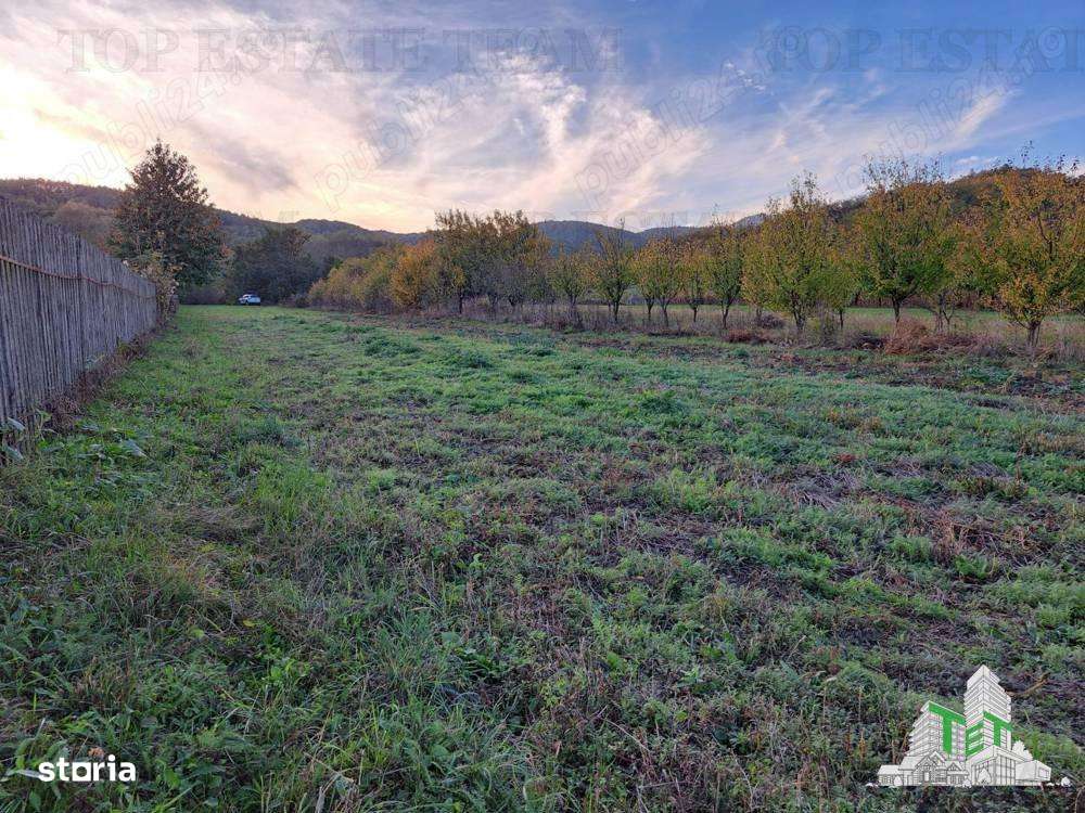 Teren de vanzare  Maneciu Pamanteni - Imagine principală: 4/6