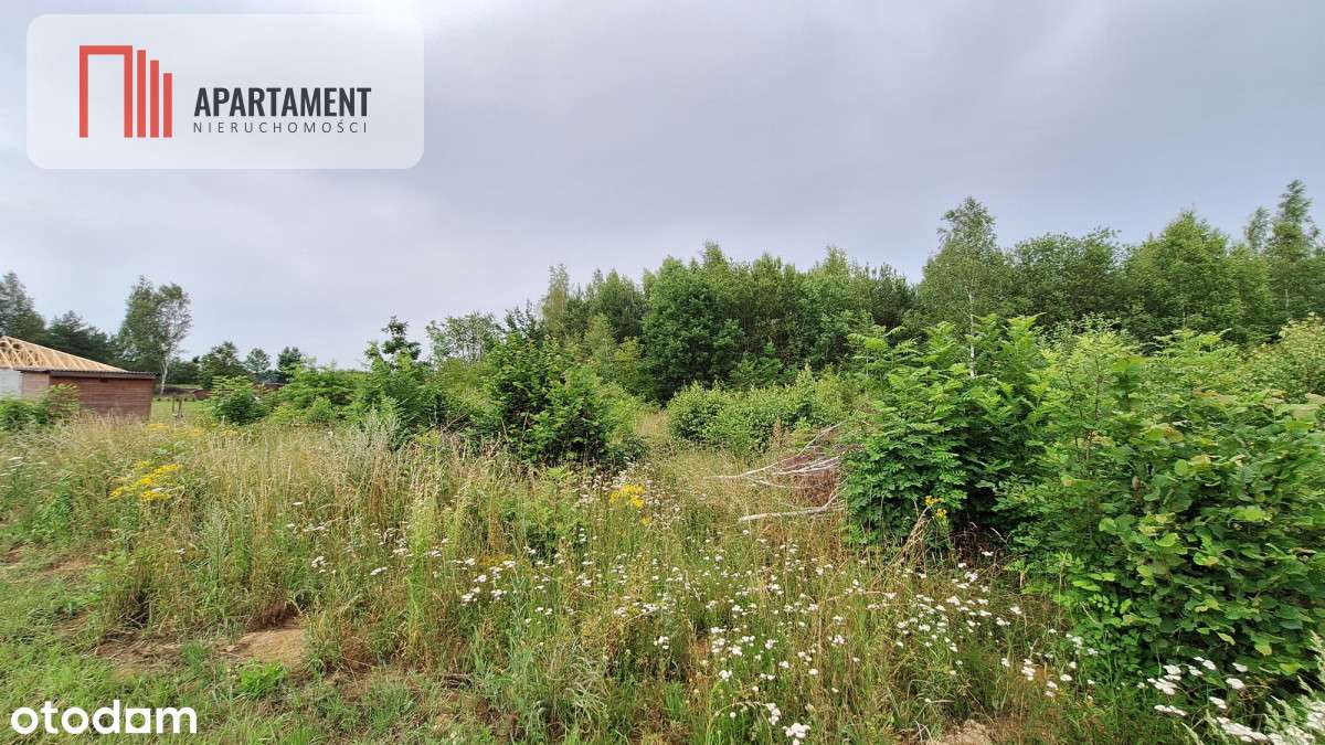 Działka budowlana pod lasem- Dolnik - Pełny obrazek: 4/16