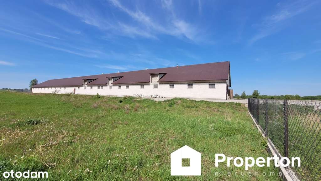 Hala na wynajem - Pełny obrazek: 5/9