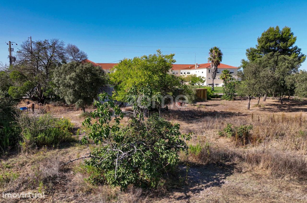 Terreno urbanizável - Lagoa da Palha