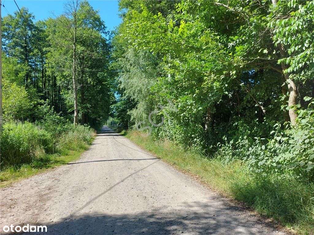 Działka niedaleko lasu! - Pełny obrazek: 4/5