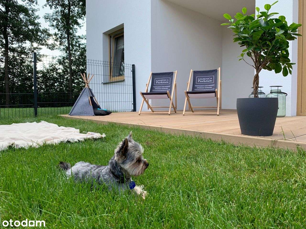 Mieszkania na wynajem nad morzem - Pełny obrazek: 4/15