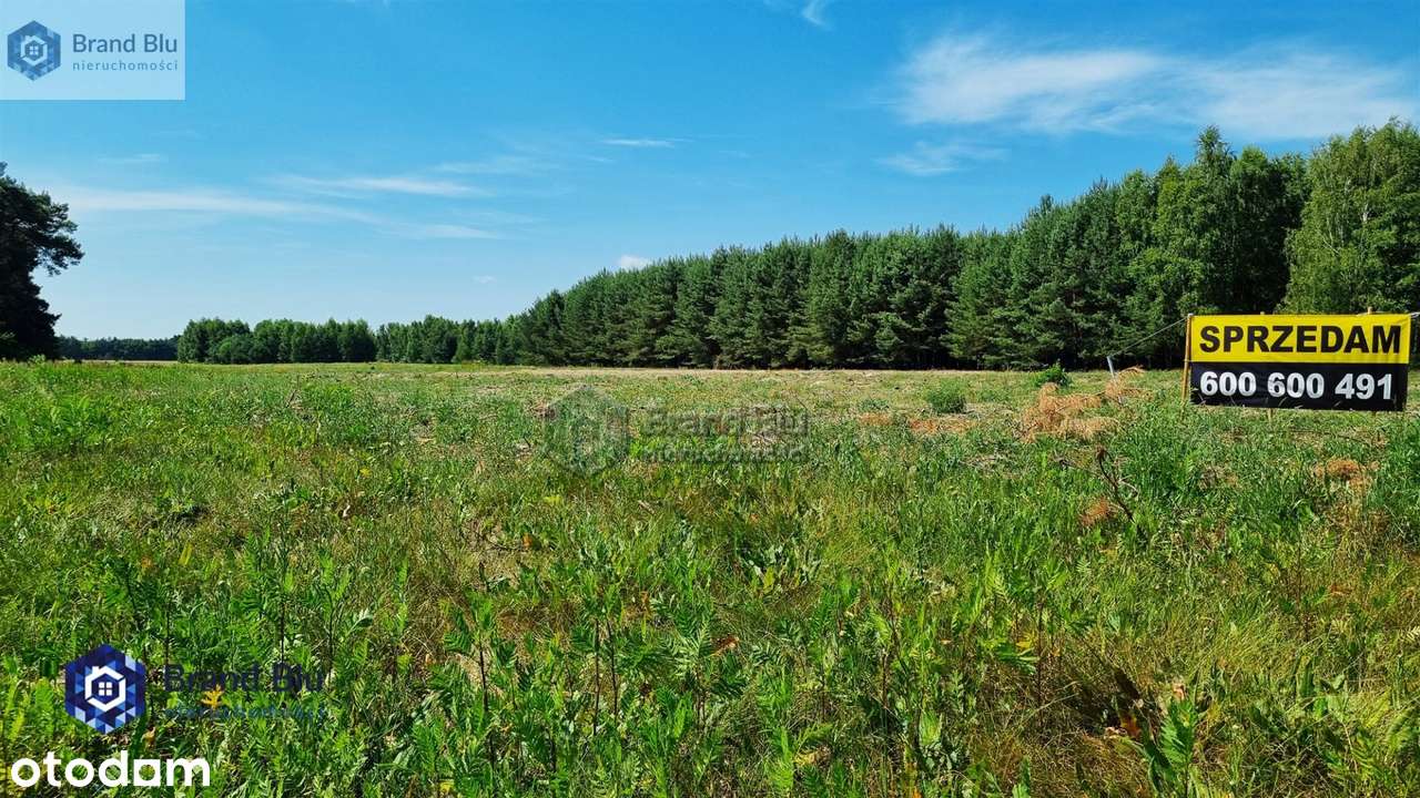 Duża działka budowlana 1,35ha obok las Mąkoszyce - Pełny obrazek: 5/7