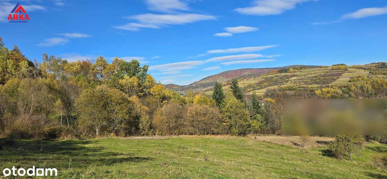 Duża działka budowlana w cichej okolicy | Okazja!-4