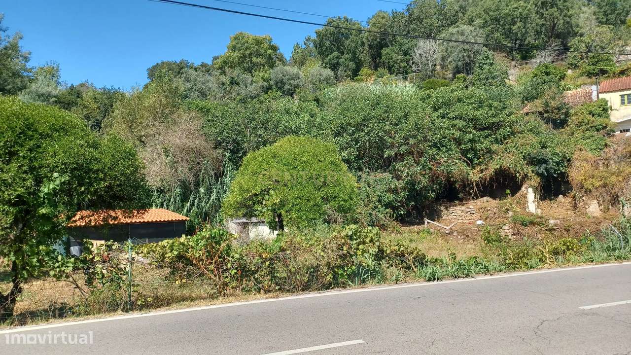 Vendo Quinta em Coimbra-35