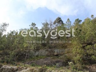 Terreno com 2703m2 em Santos Evos - Grande imagem: 5/6