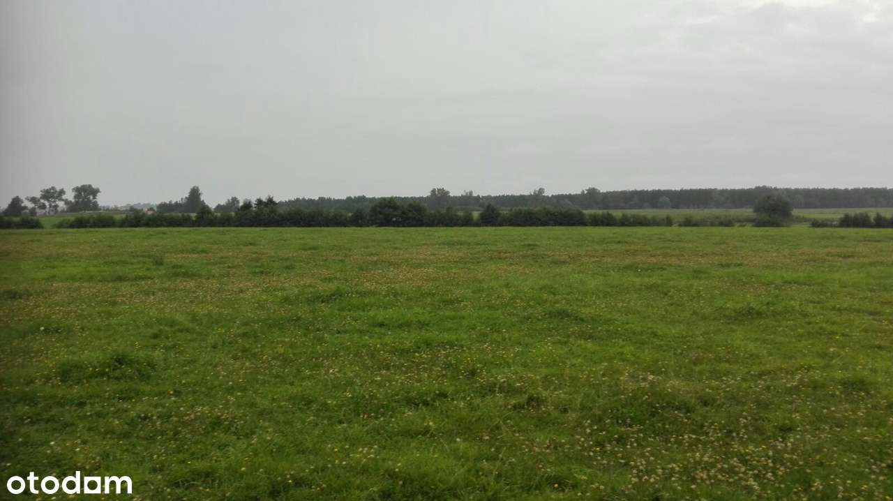 Darłowo/ Krupy dojazd asfaltowy , dojazd do morza, Darłowa 10 minut-8