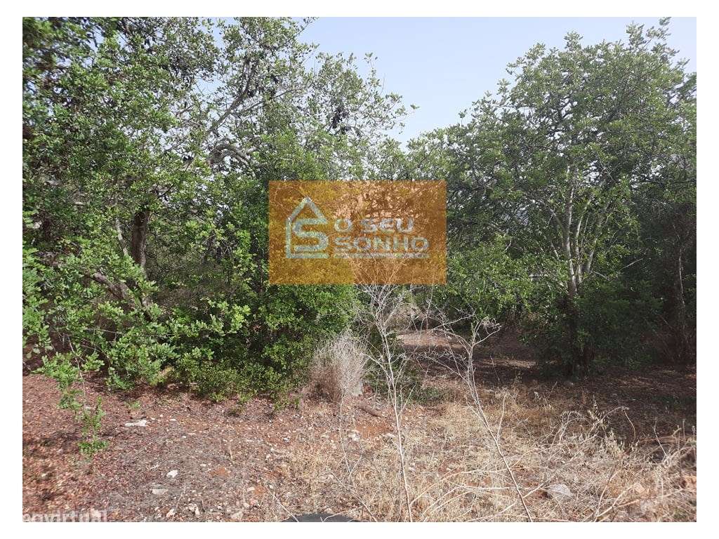 Terreno Rústico nos Machados - Grande imagem: 3/6