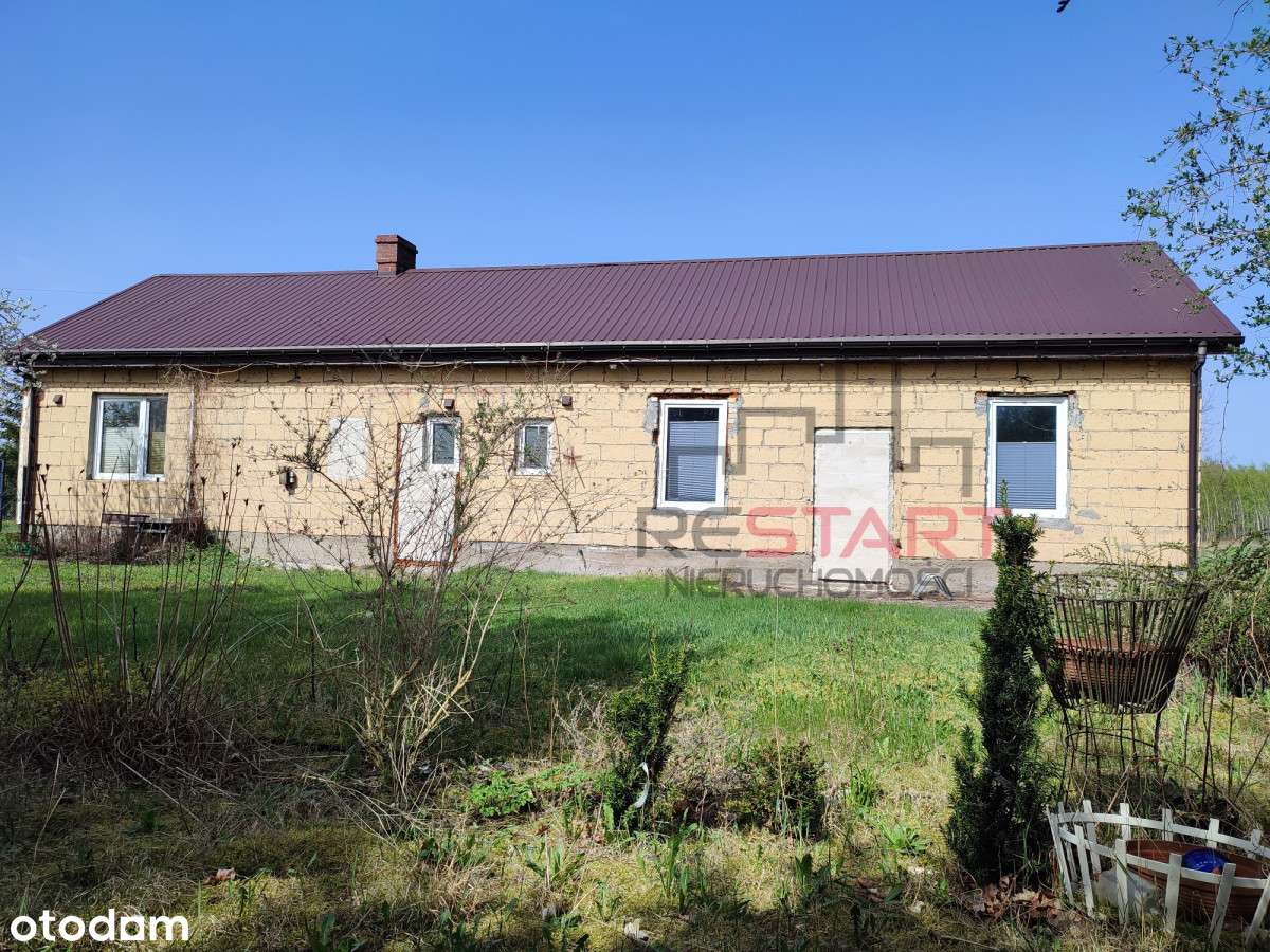 Piękna duża działka z domem we Władkowie - Pełny obrazek: 4/13