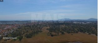 Herdade Quinta da Mourisca em Setúbal | Setúbal, Sado - Grande imagem: 5/6