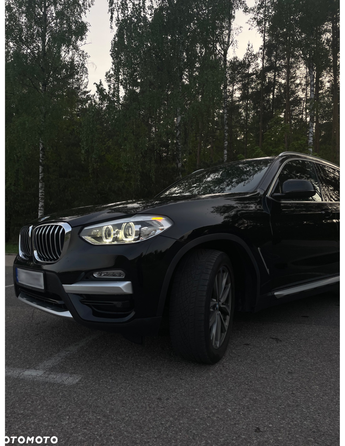 BMW X3 xDrive30i xLine - 2