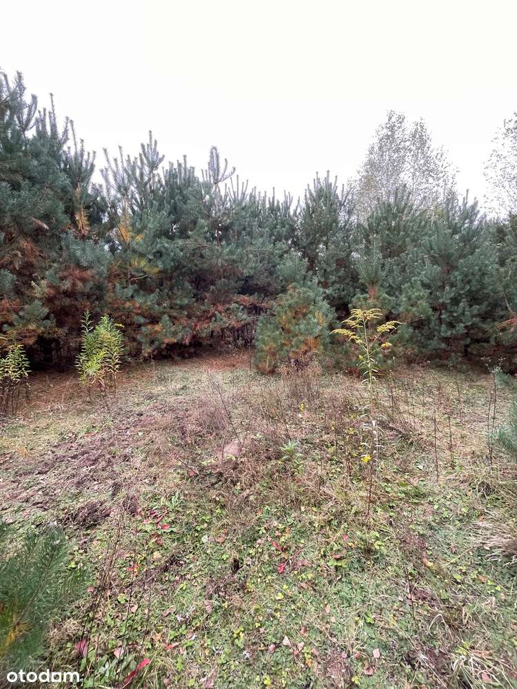 Pozwolenie na budowę 12 domów-3