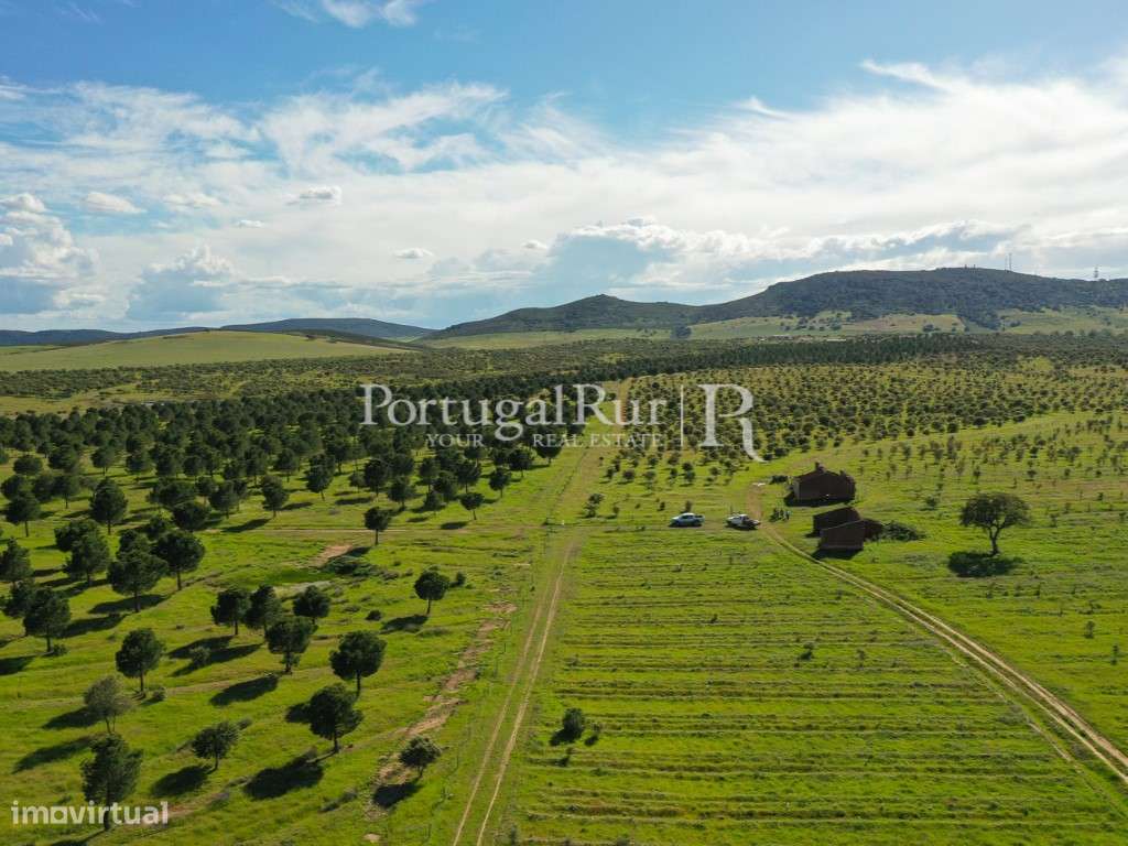 Herdades de Caça com 1300 Hectares, junto do rio Guadiana-39