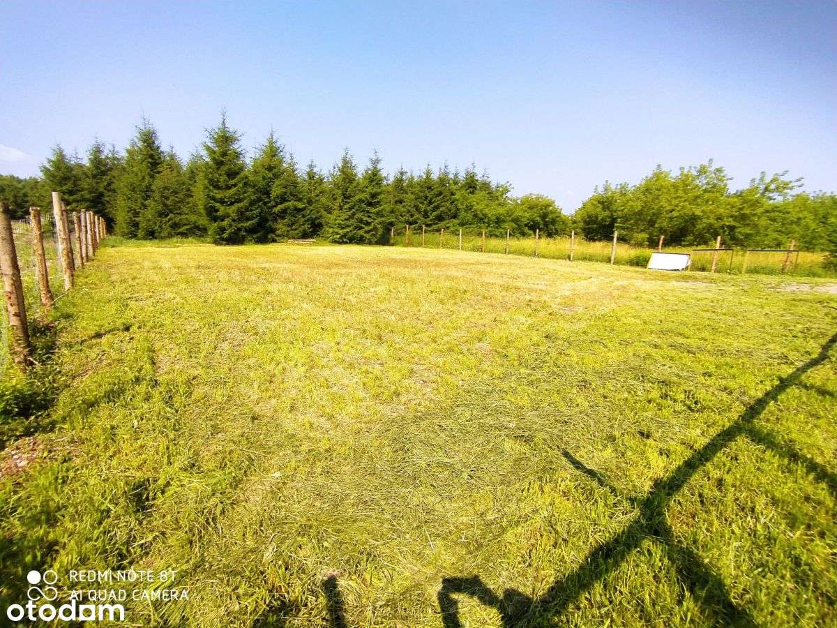 Atrakcyjna działka budowlana - Płociczno - Pełny obrazek: 4/6