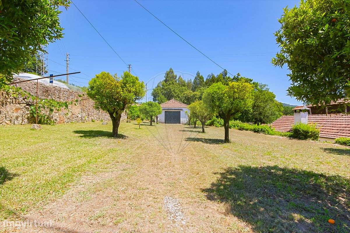 Quinta T9 para venda - Grande imagem: 4/29