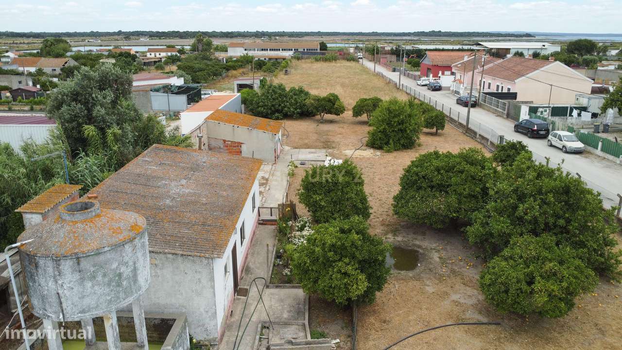 Quintinha com 2 Casas | 5464 m² | Mourisca - Setúbal - Grande imagem: 4/60
