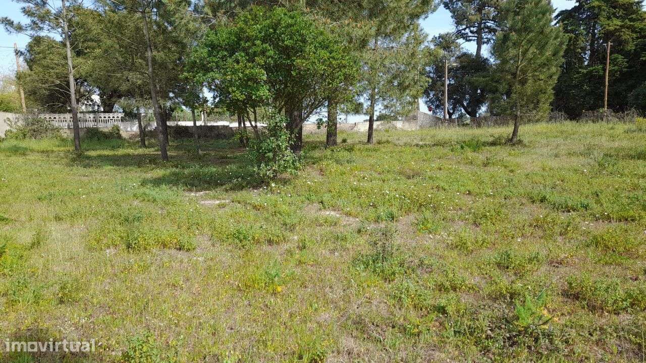 Setúbal/Padeiras Quinta 5000m2 para moradia.-19